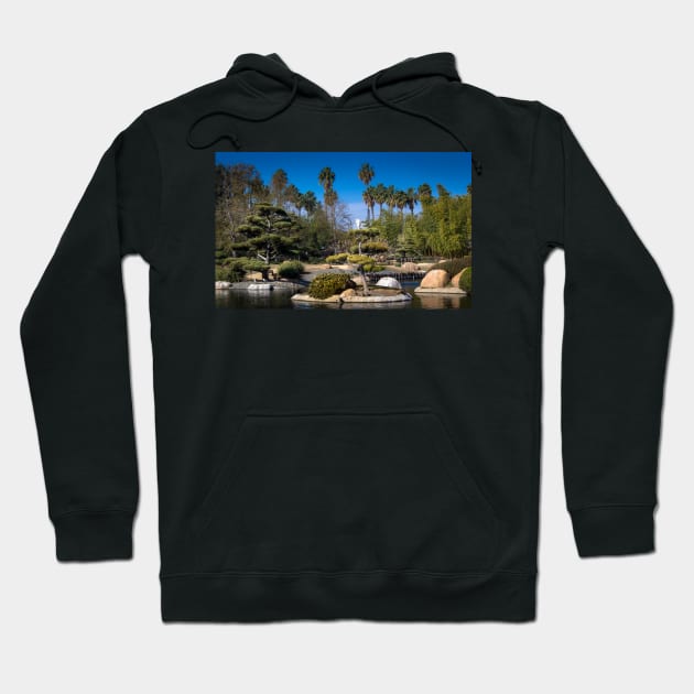 Japanese landscape hoodie best sale